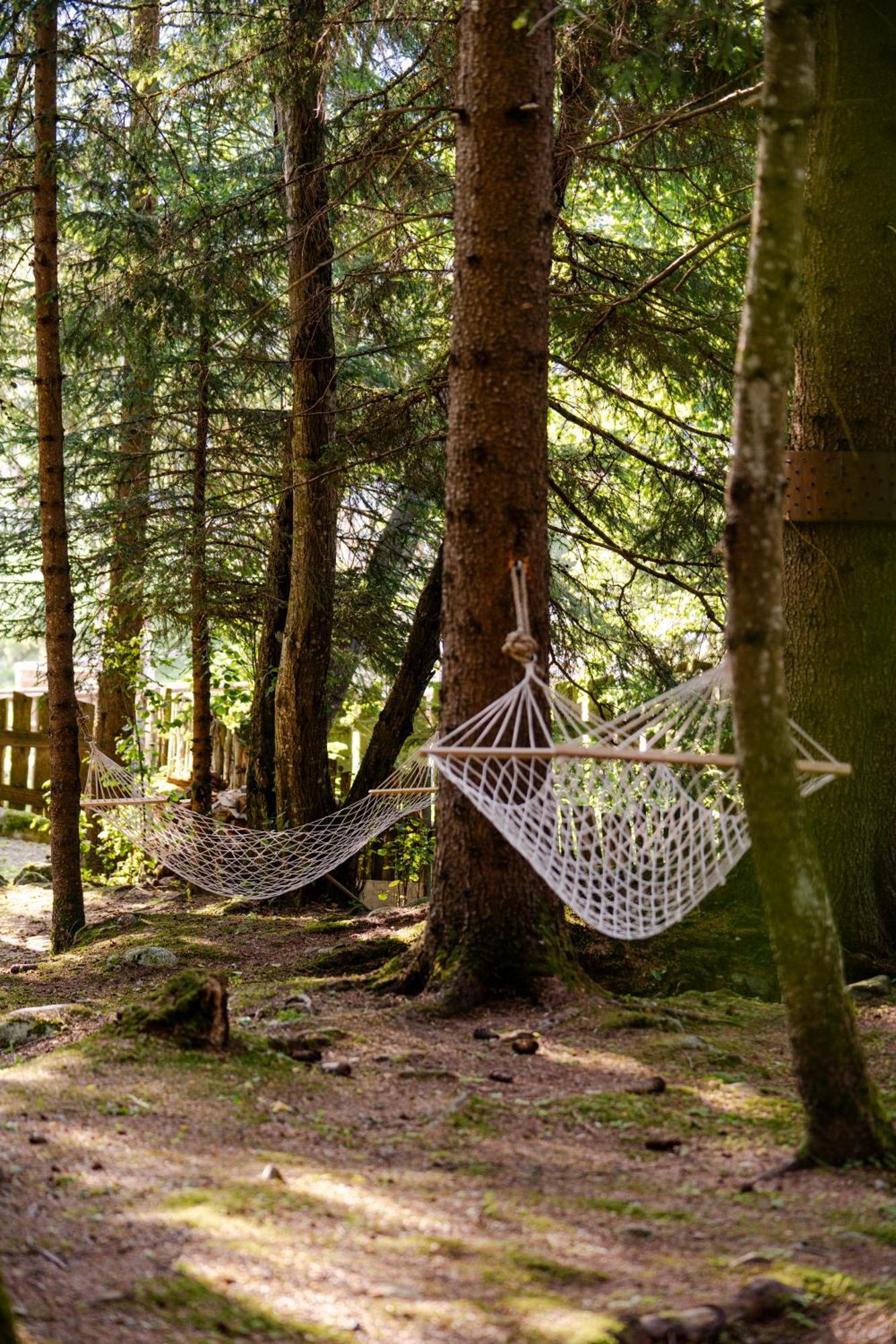 La Tana Dell'Orso Hotel & Spa Ponte Di Legno Zewnętrze zdjęcie